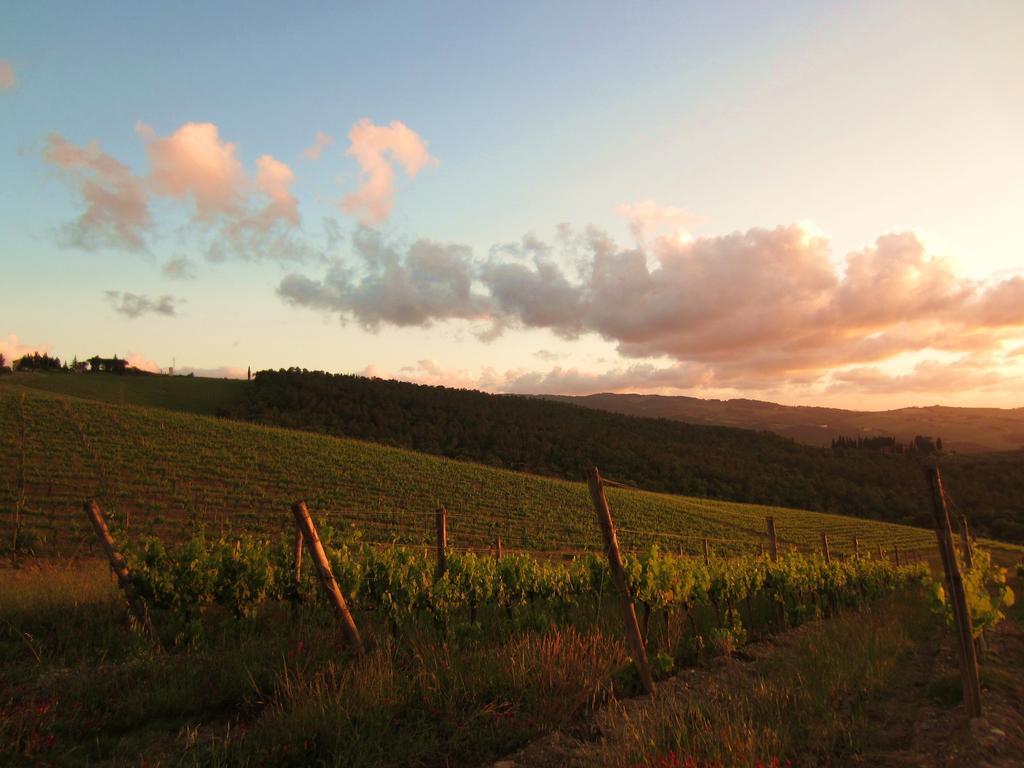 B&B Grano E Lavanda Greve in Chianti Kültér fotó