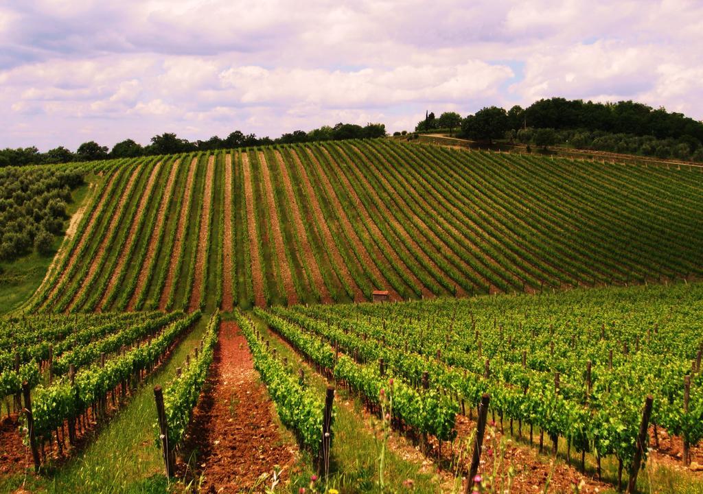 B&B Grano E Lavanda Greve in Chianti Kültér fotó